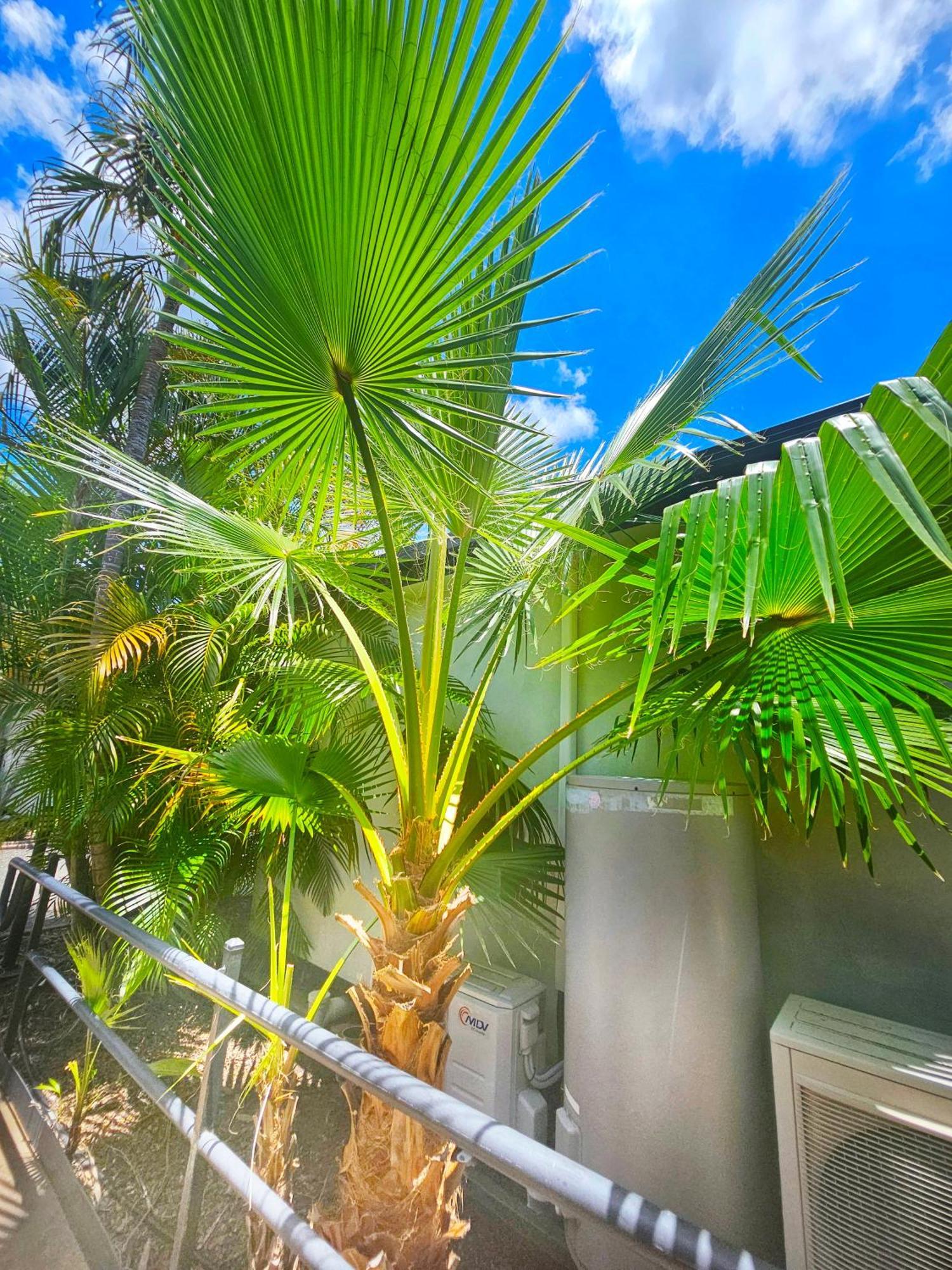 Emerald Motel Apartments Bagian luar foto
